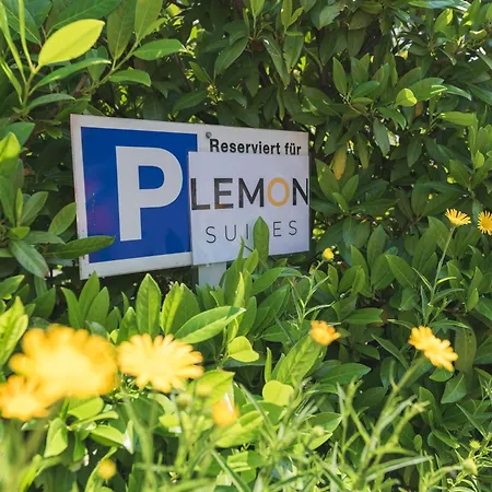 Lemon - Ideal Fuer Teams Und Monteure * Hildrizhausen